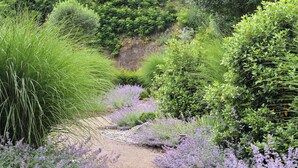 Un sendero en un jardín, bordeado por arbustos verdes y pastos altos.