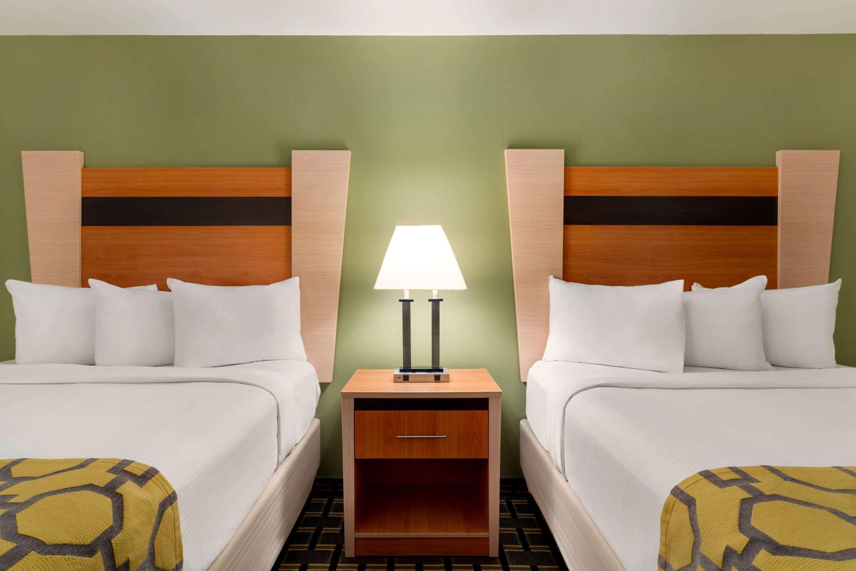 Een hotelkamer met twee bedden, een nachtkastje met een lamp en een groene wand.