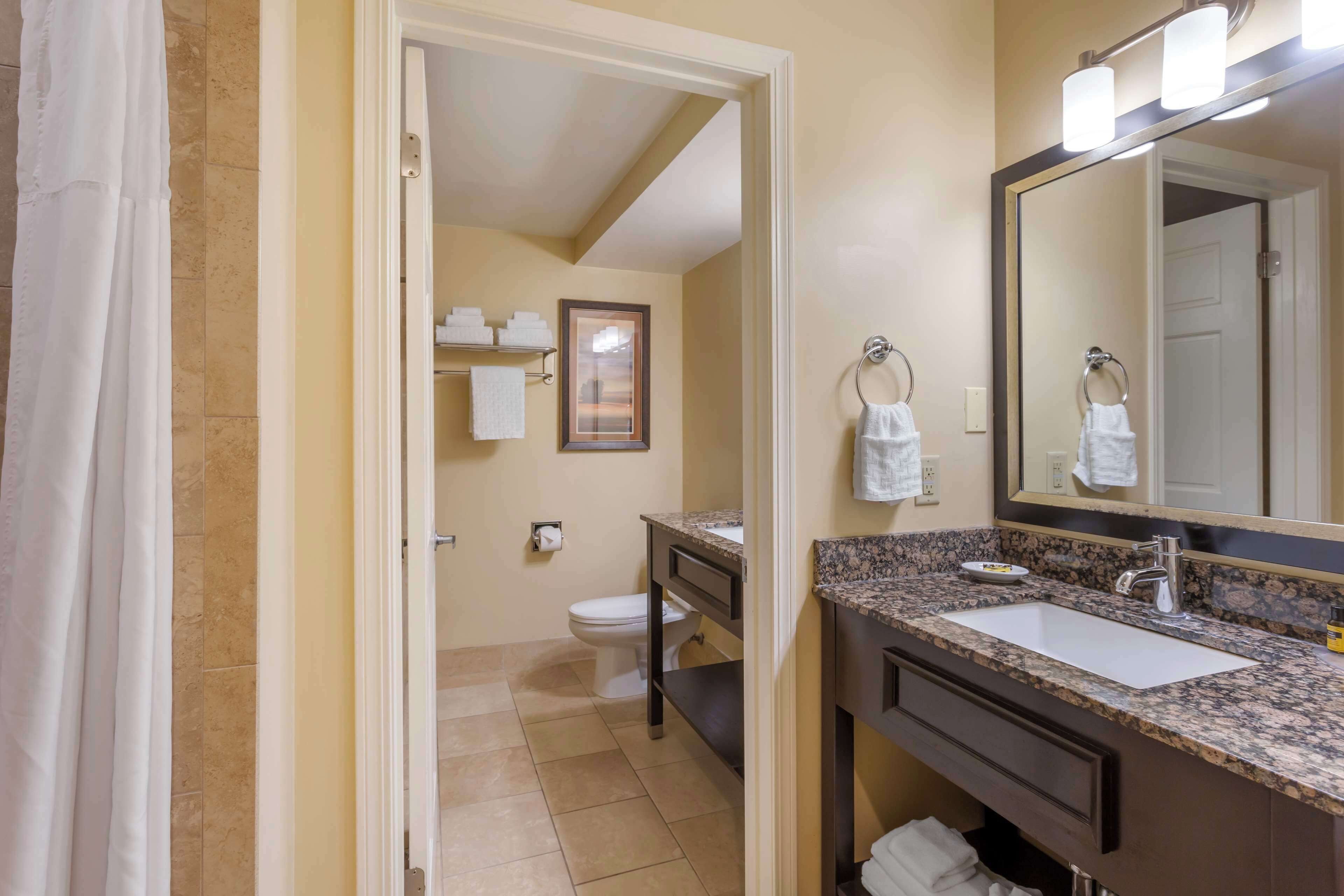 executive suite, 1 king bed, non smoking, jetted tub | bathroom | combined shower/bathtub, free toiletries, hair dryer, towels
