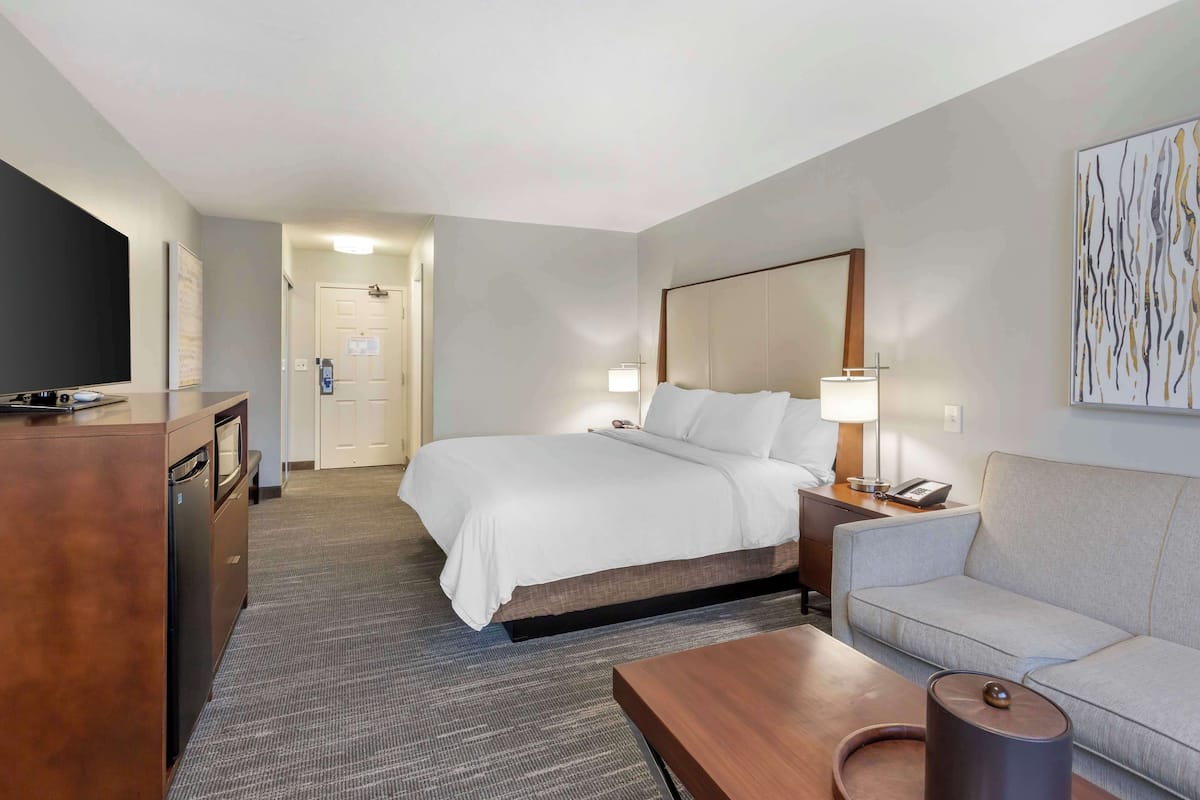Standard Room, 1 King Bed, Non Smoking, Refrigerator (with Sofabed) | Premium bedding, pillow-top beds, in-room safe, desk