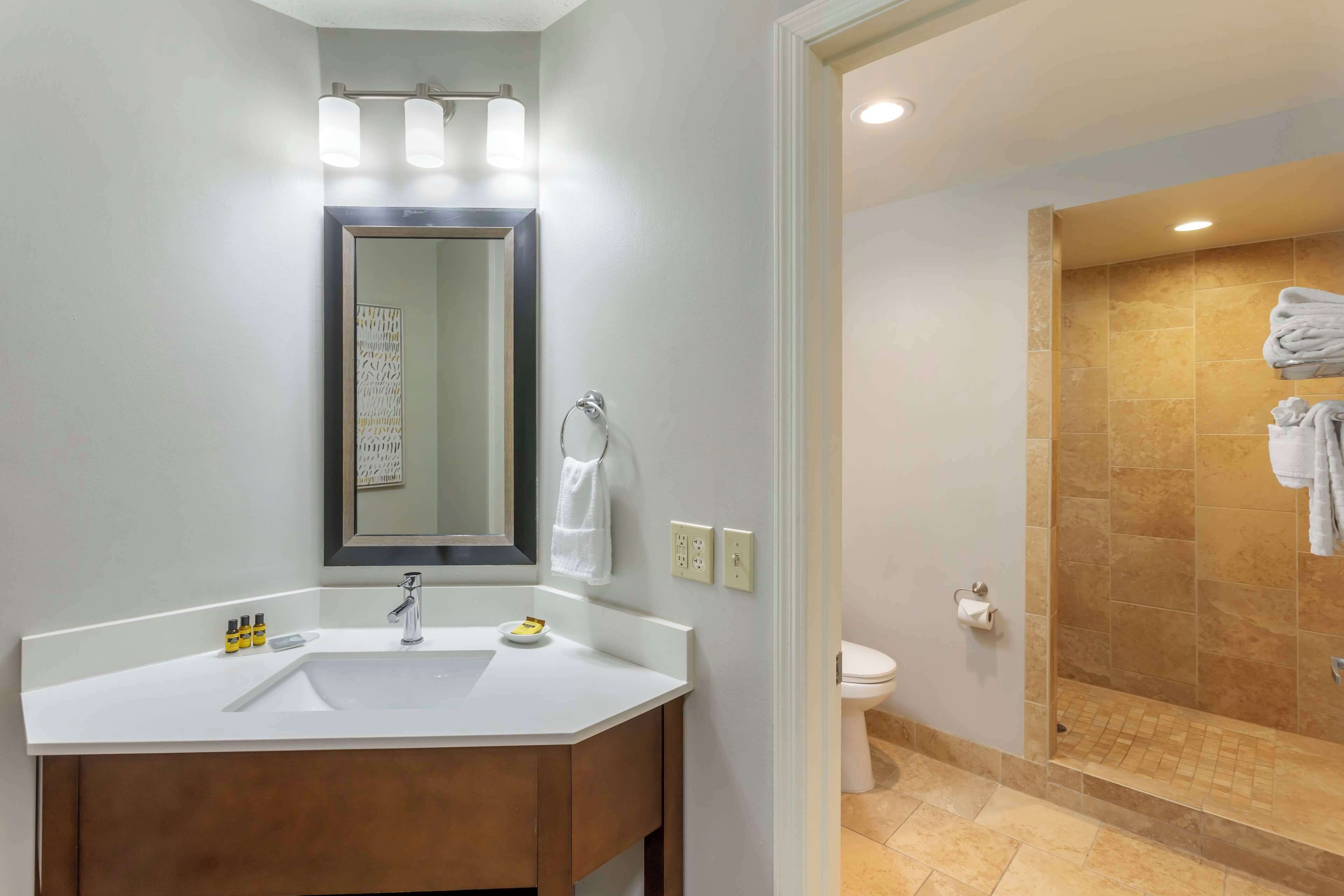 suite, 1 king bed, non smoking, jetted tub (with sofabed) | bathroom | combined shower/bathtub, free toiletries, hair dryer, towels