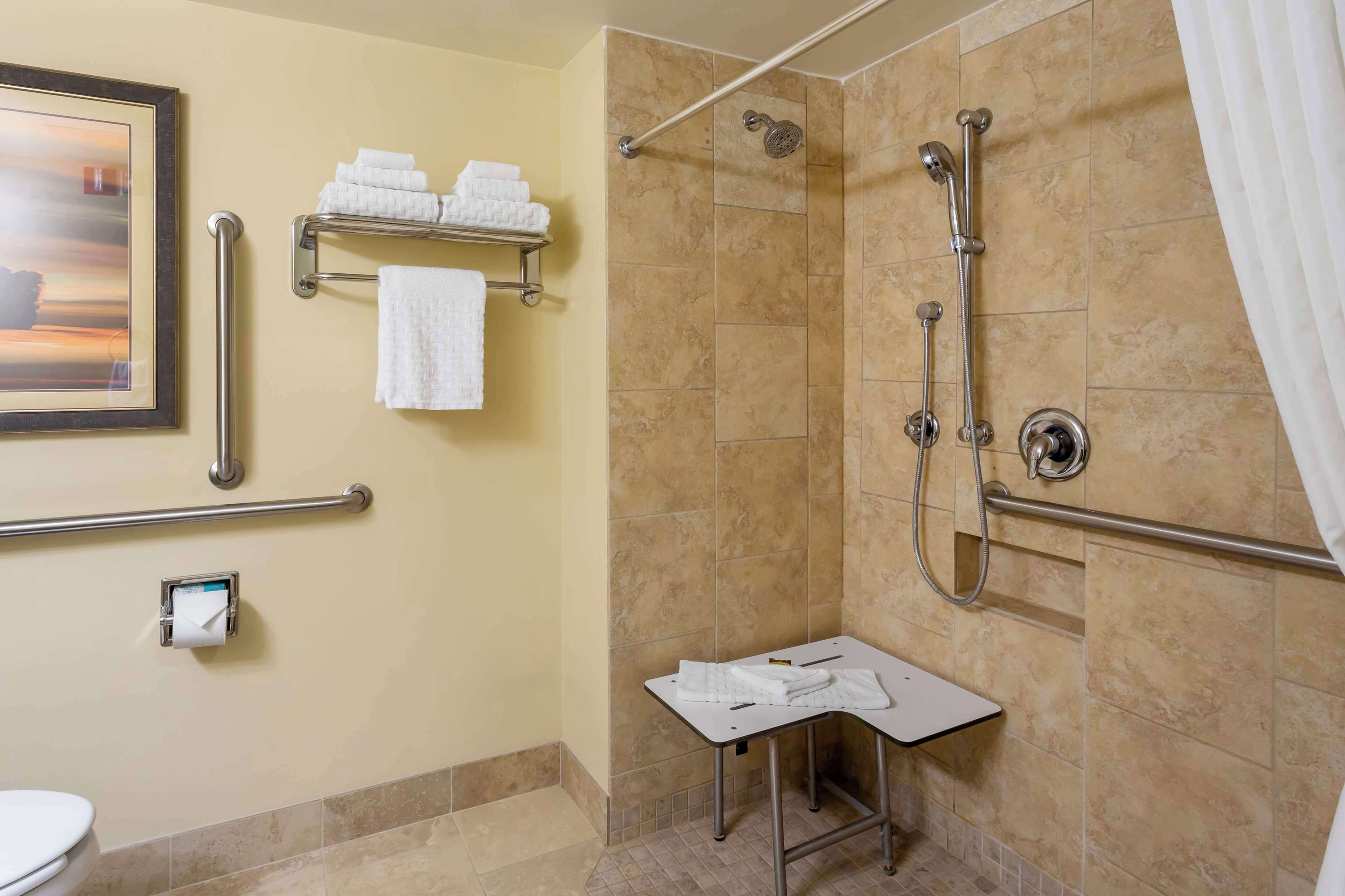 Un baño con ducha, barras de apoyo, toallero y retrete.