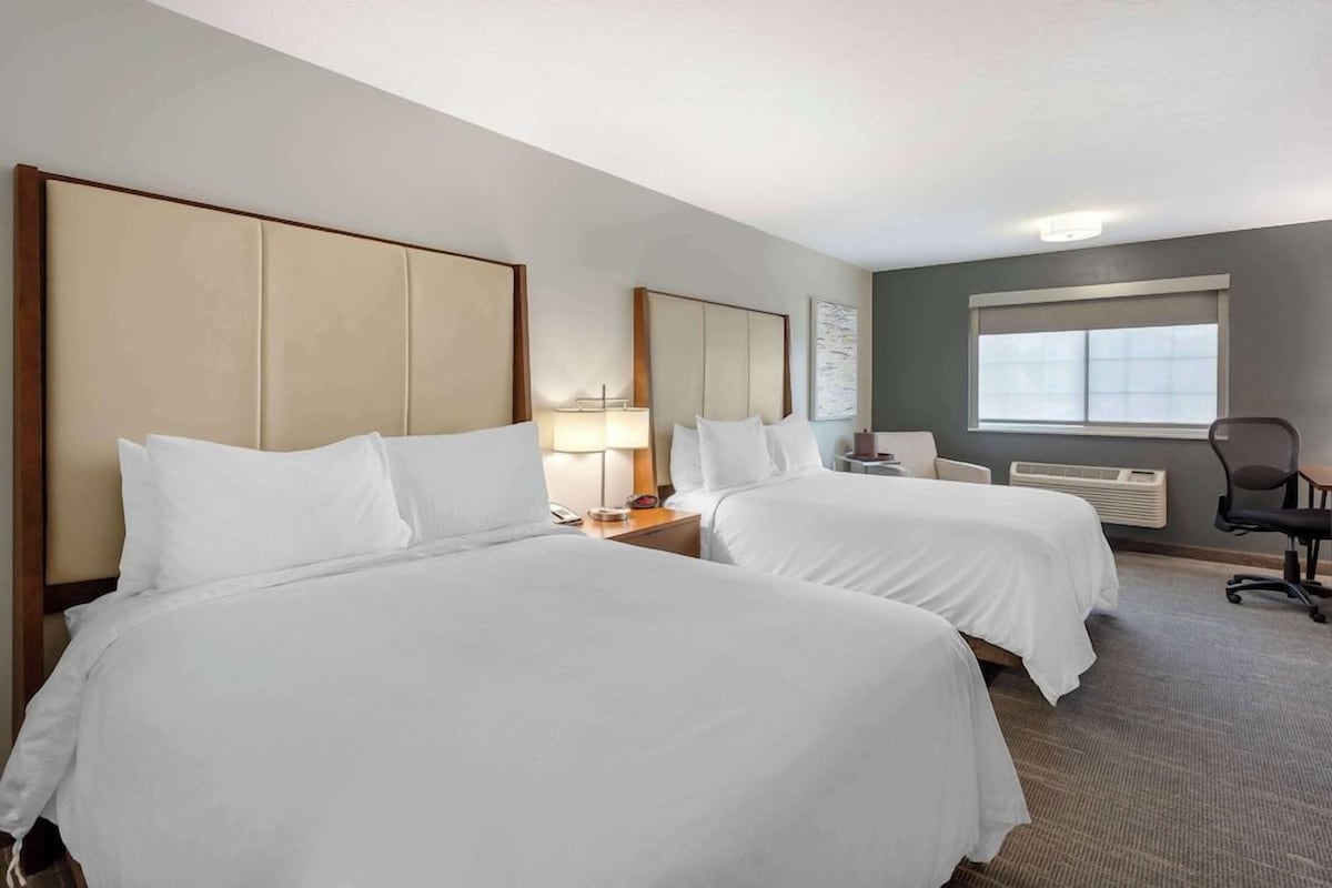 Premium bedding, pillow-top beds, in-room safe, desk