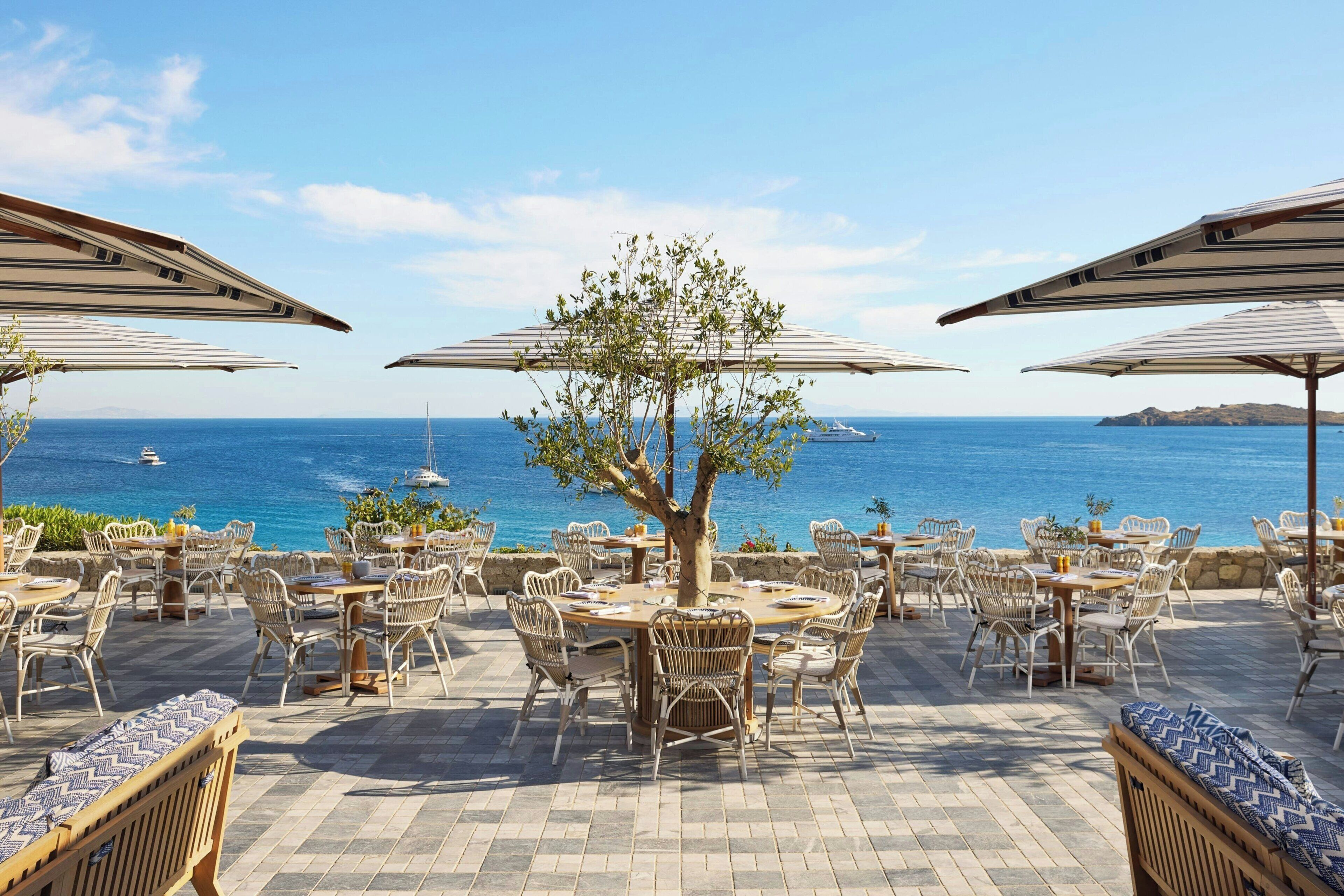 An outdoor dining area with tables and chairs, a tree, and a view of the sea.