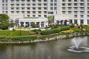 Vista desde la propiedad