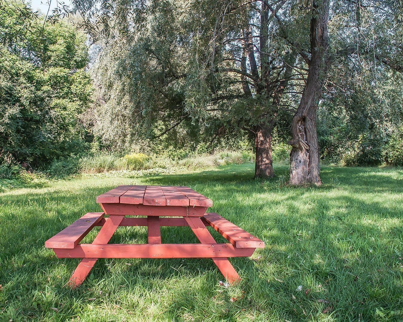 Una mesa de picnic en un área cubierta de césped, con árboles al fondo.