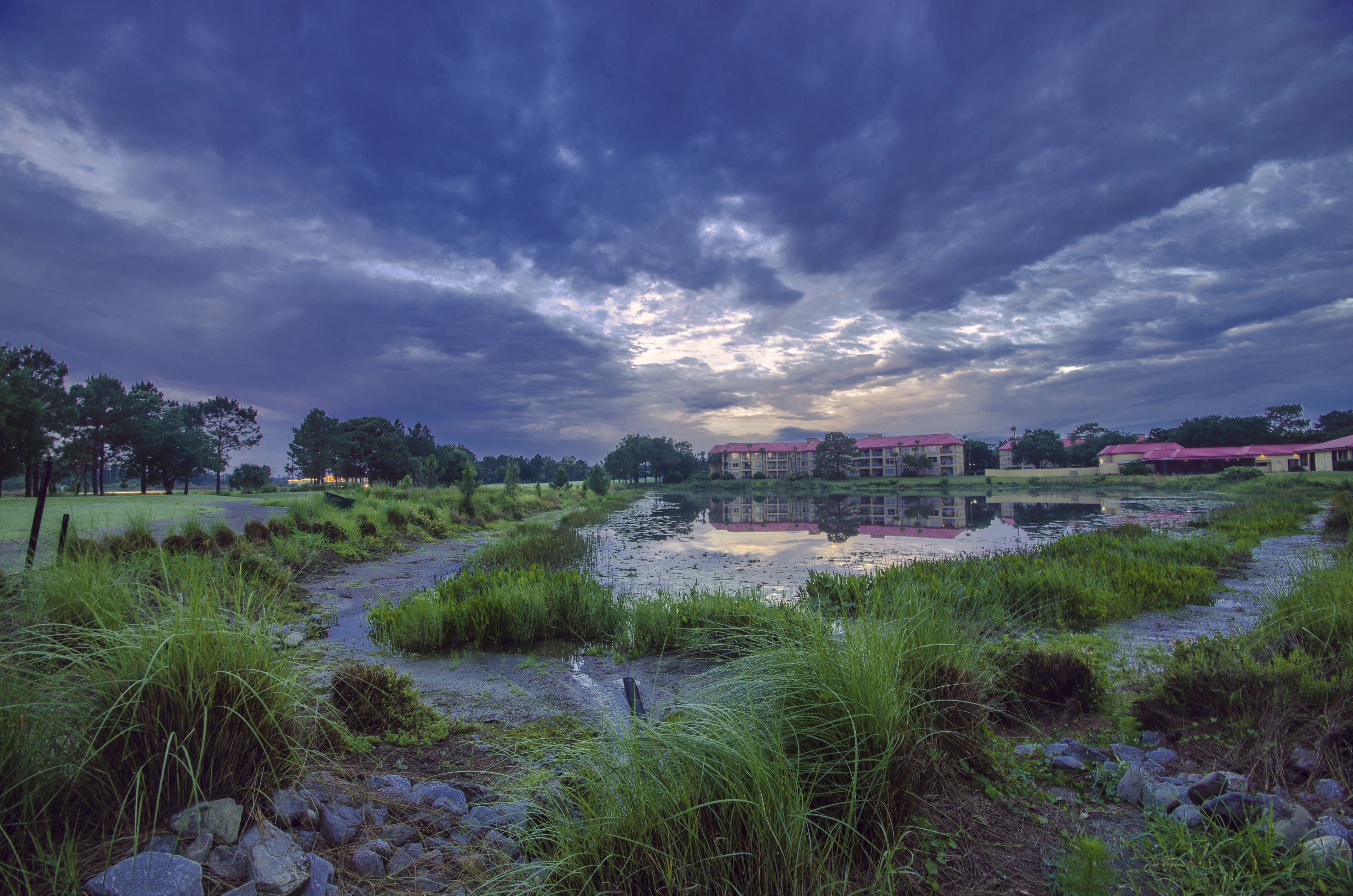 A serene landscape with a pond, grassy areas, and buildings with red roofs in the background.