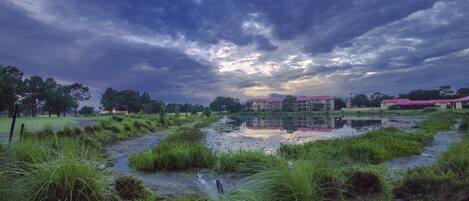 A serene landscape with a pond, grassy areas, and buildings with red roofs in the background.
