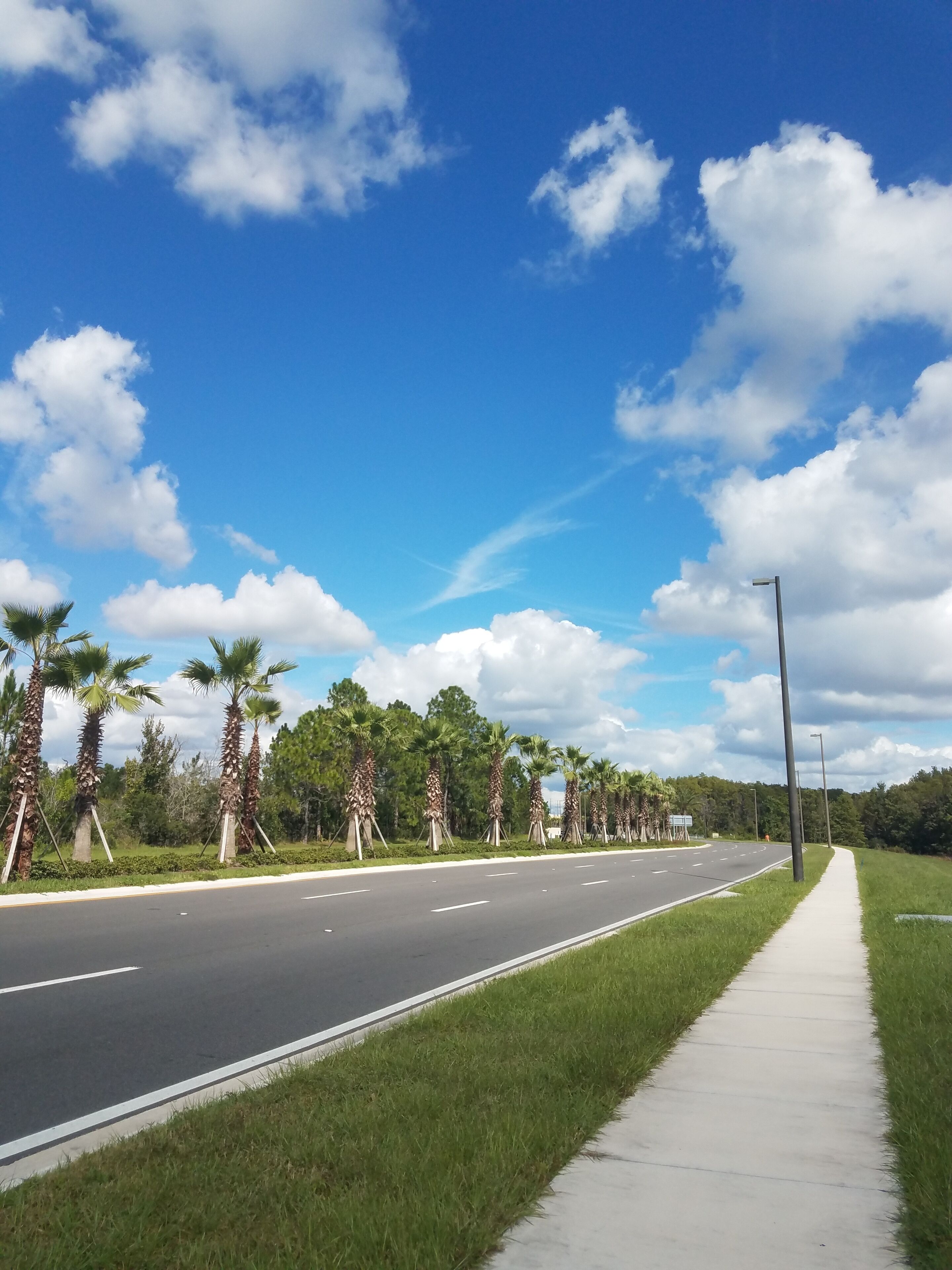 A wide road with a sidewalk on one side, lined with palm trees and a clear blue sky with clouds.