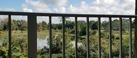 Deluxe Condo, 2 Bedrooms, Non Smoking | Balcony view
