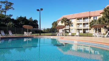 Una piscina al aire libre, sillones reclinables de piscina