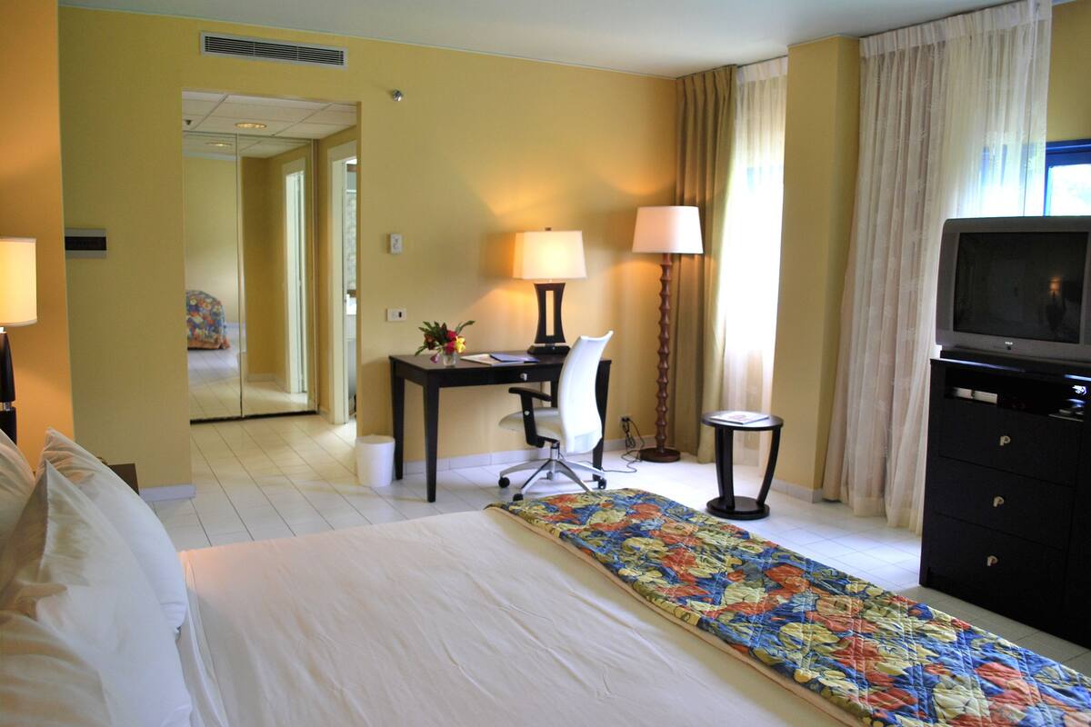 Standard Room, 1 King Bed, Mountain View | Hypo-allergenic bedding available, in-room safe, desk, blackout drapes