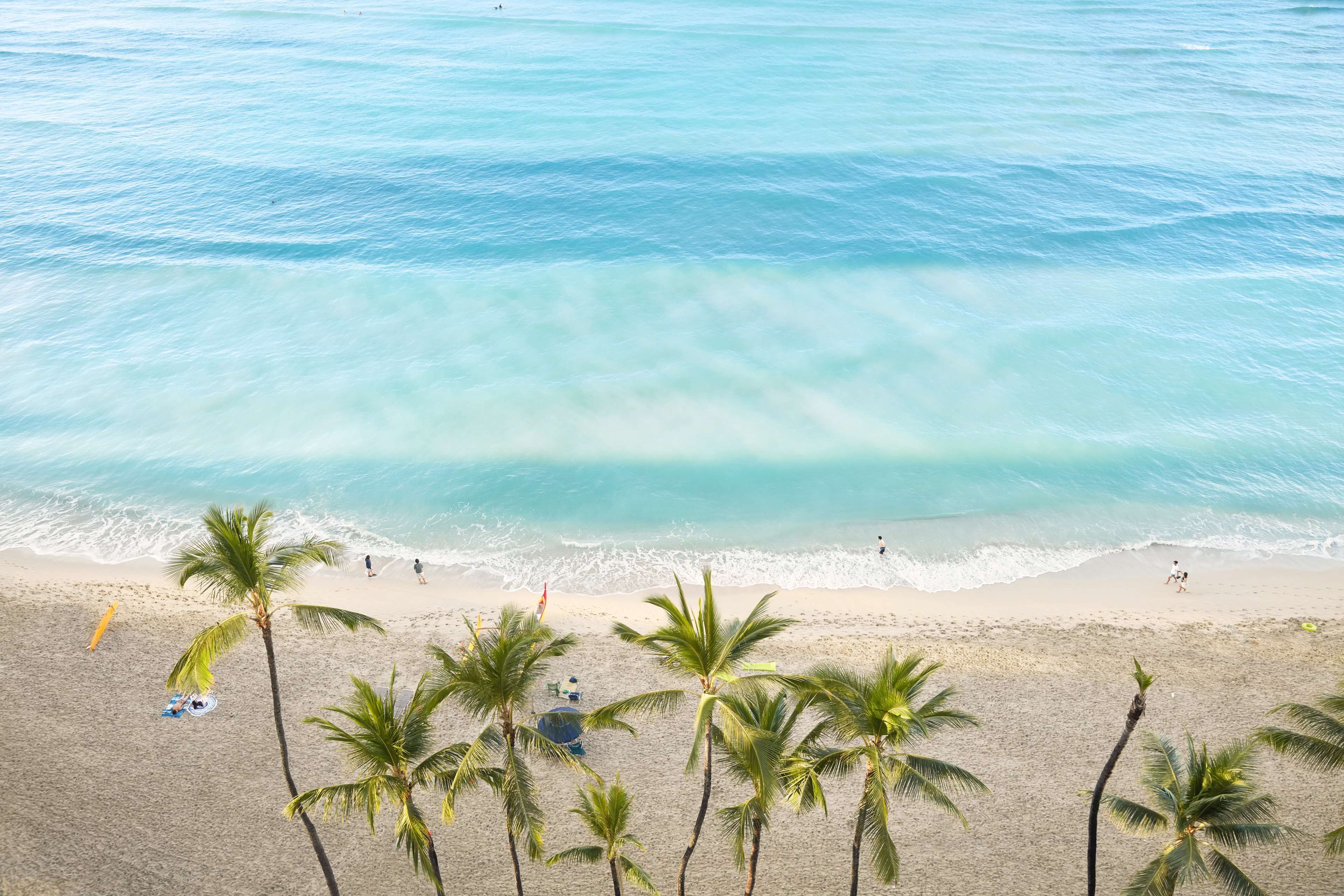 A beach with palm trees, clear water, and people walking along the shore.