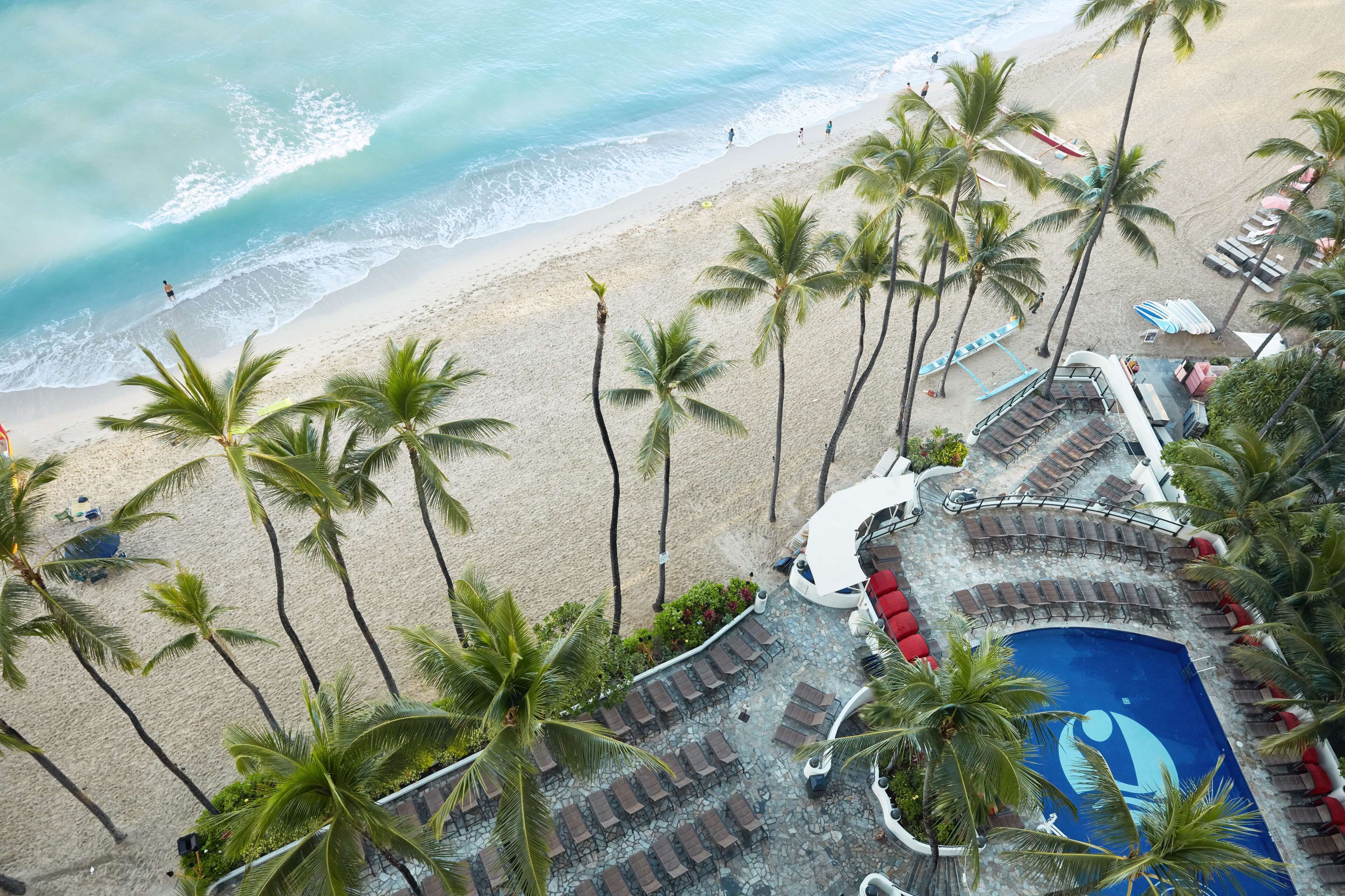 Suite, 1 King Bed with Sofa bed | View from room
