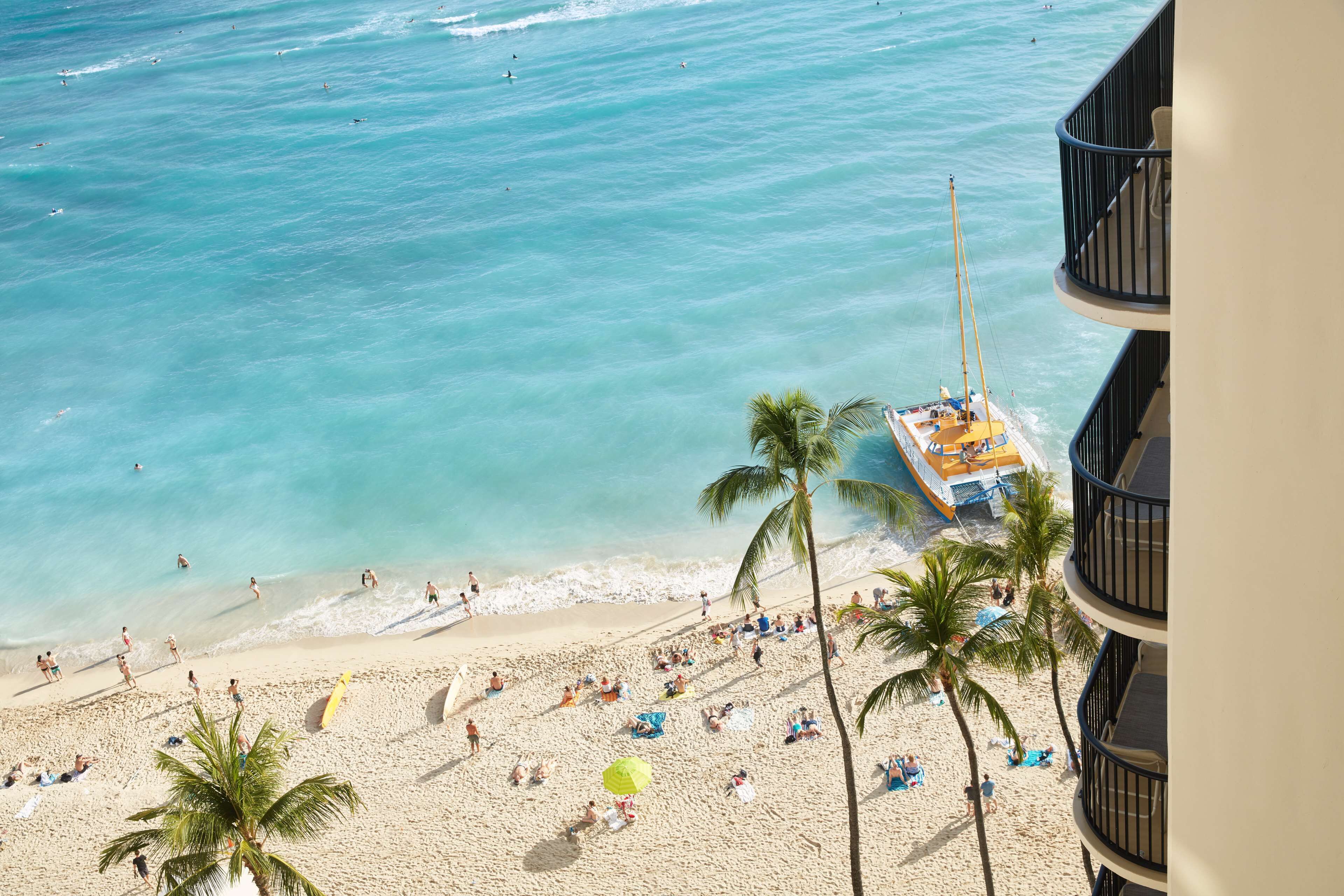 A beach with palm trees, a boat, and people on the sand.