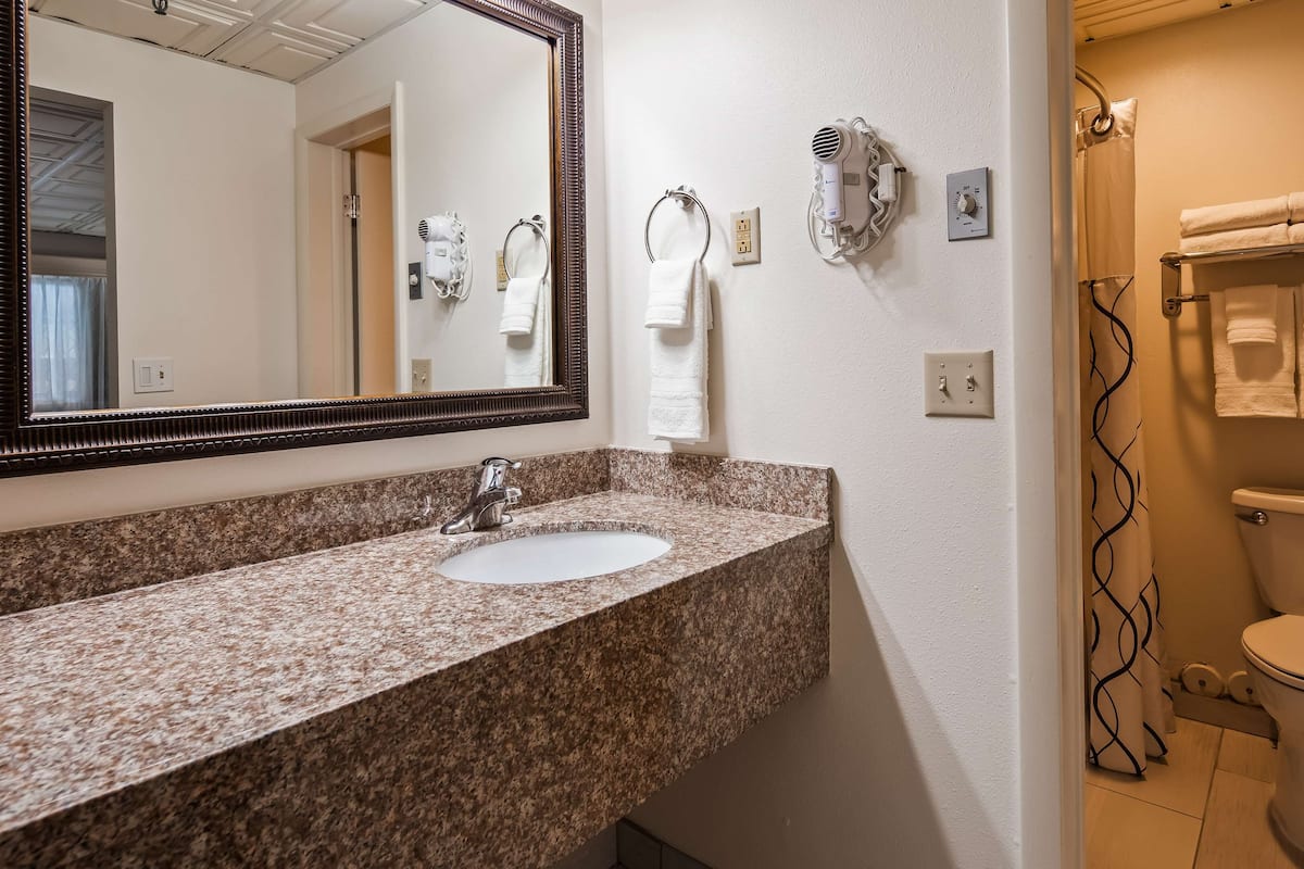 combined shower/bathtub, free toiletries, hair dryer, towels