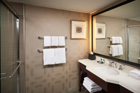 Sheraton Hamilton Hotel - Image 64