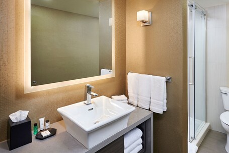Sheraton Hamilton Hotel - Image 33