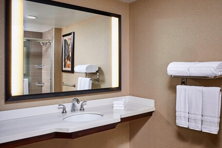 Sheraton Hamilton Hotel - Image 63