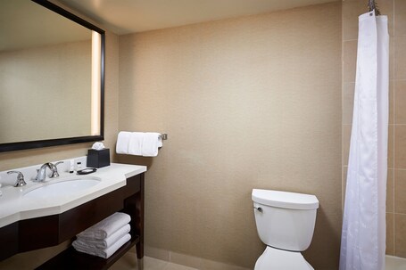 Sheraton Hamilton Hotel - Image 46
