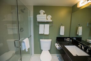 Features a glass-enclosed shower, white toilet, and black sink with a large mirror.