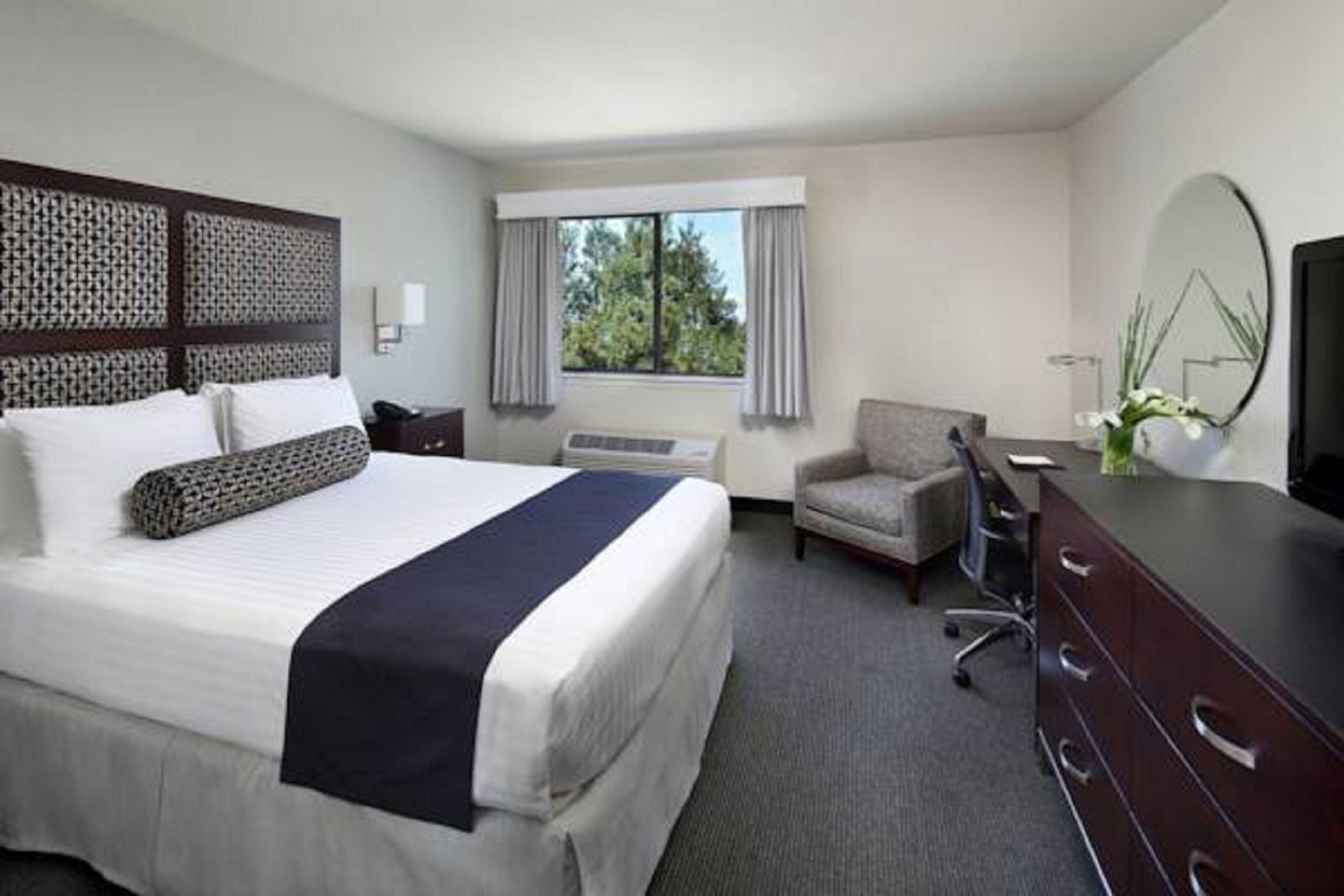 premium bedding, in-room safe, desk, blackout curtains