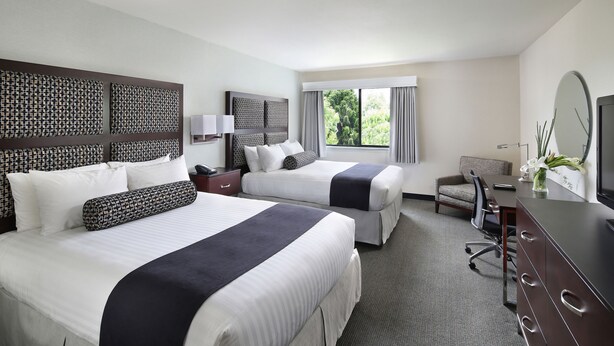 A hotel room with two beds, a desk, a chair, and a large window. - Maple Tree Inn (Sunnyvale)