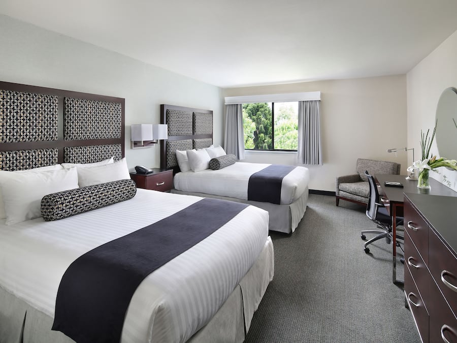 Premium bedding, in-room safe, desk, blackout curtains