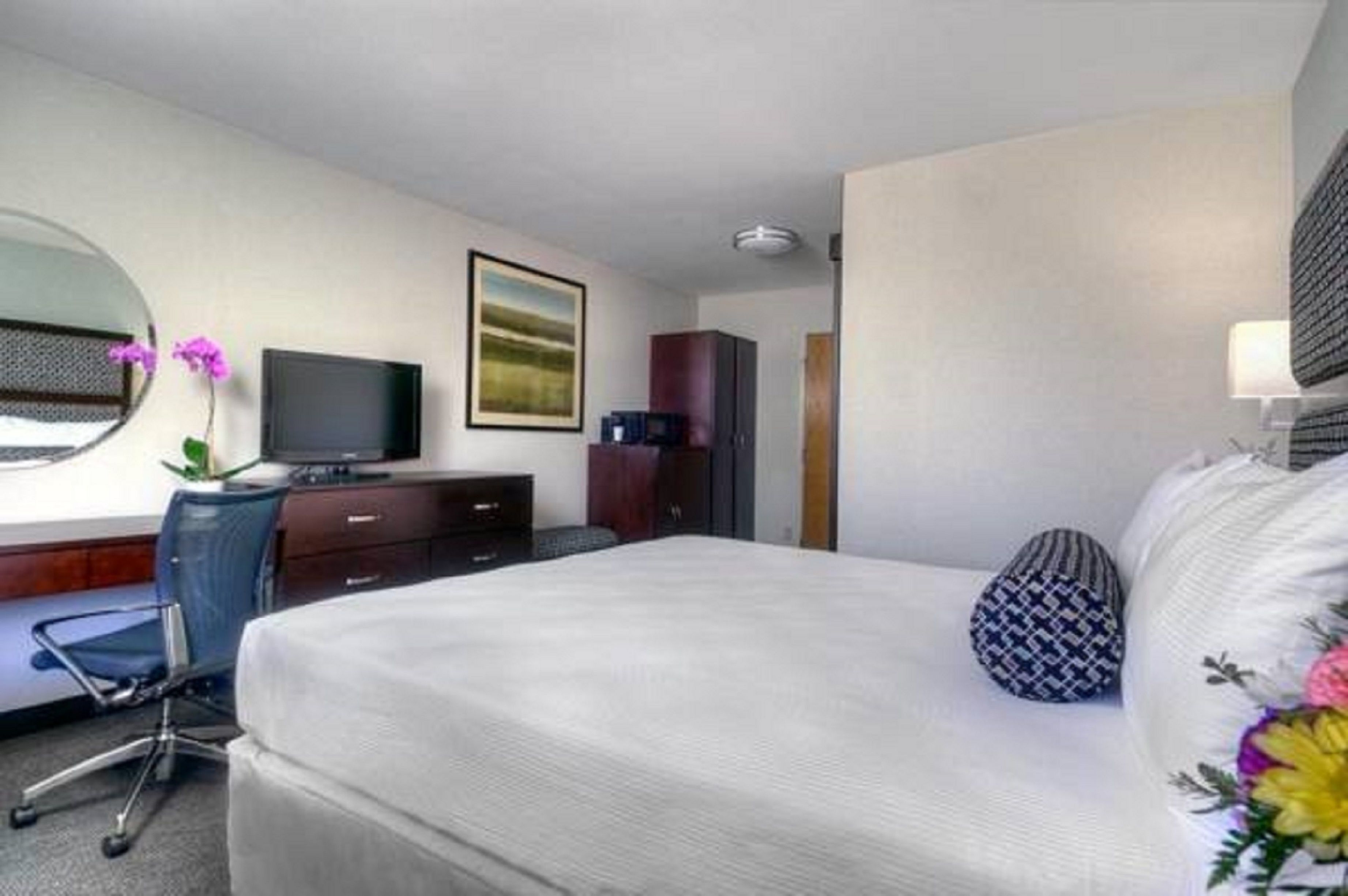 premium bedding, in-room safe, desk, blackout curtains