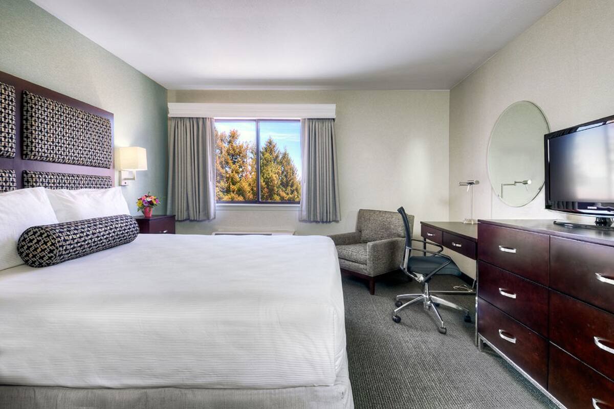 A hotel room with a large bed, a desk, a chair, a television, and a window with a view of trees.