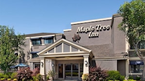 A Maple Tree Inn hotel with a modern facade, a covered entrance, and landscaped gardens.