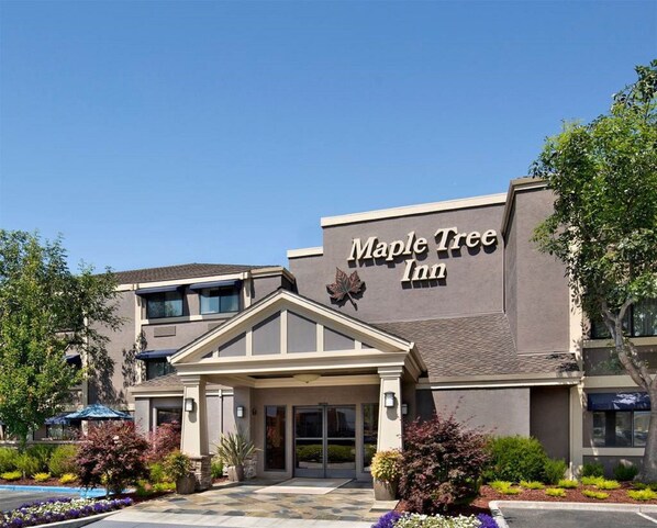 Welcome to the Maple Tree Inn, featuring a modern entrance with a covered walkway and beautifully landscaped surroundings.