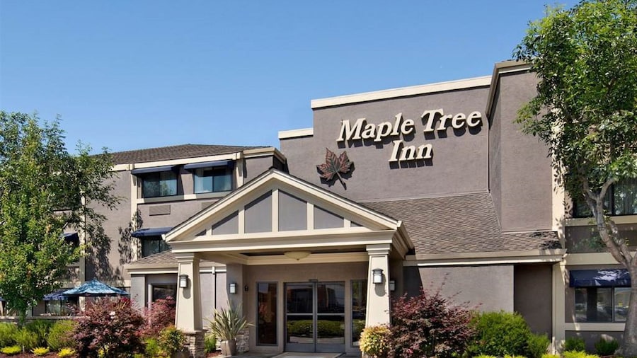 Maple Tree Inn