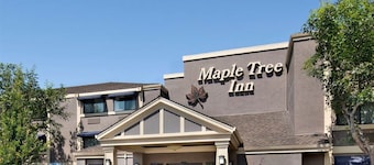 Maple Tree Inn