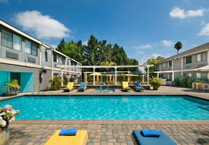 Relax by the pool surrounded by lush greenery and lounge chairs.