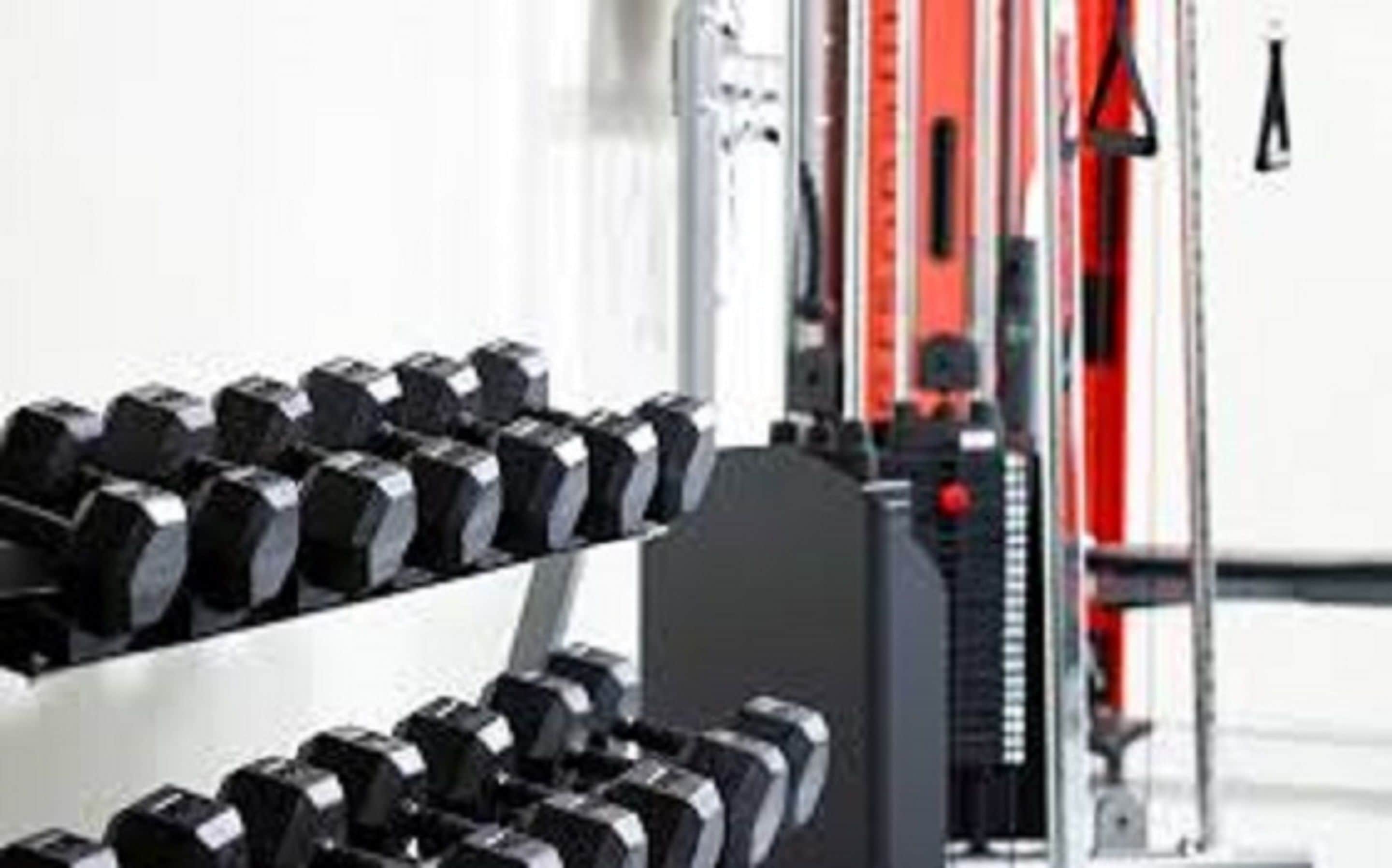 A row of black dumbbells on a rack in a gym setting.