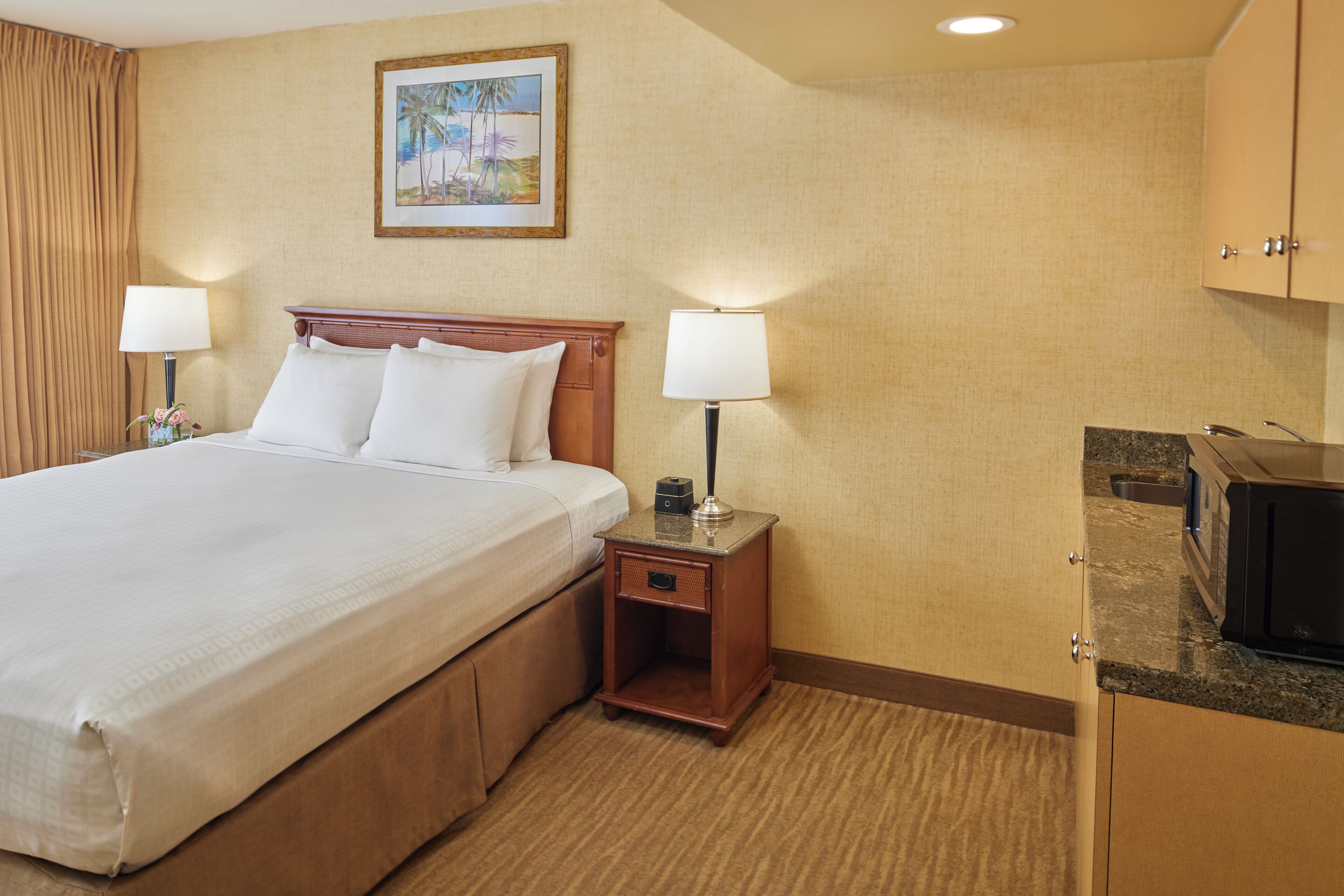 スーペリア スタジオスイ  ート | セーフティボックス (室内)、デスク、ノートパソコン用作業スペース、遮光カーテン