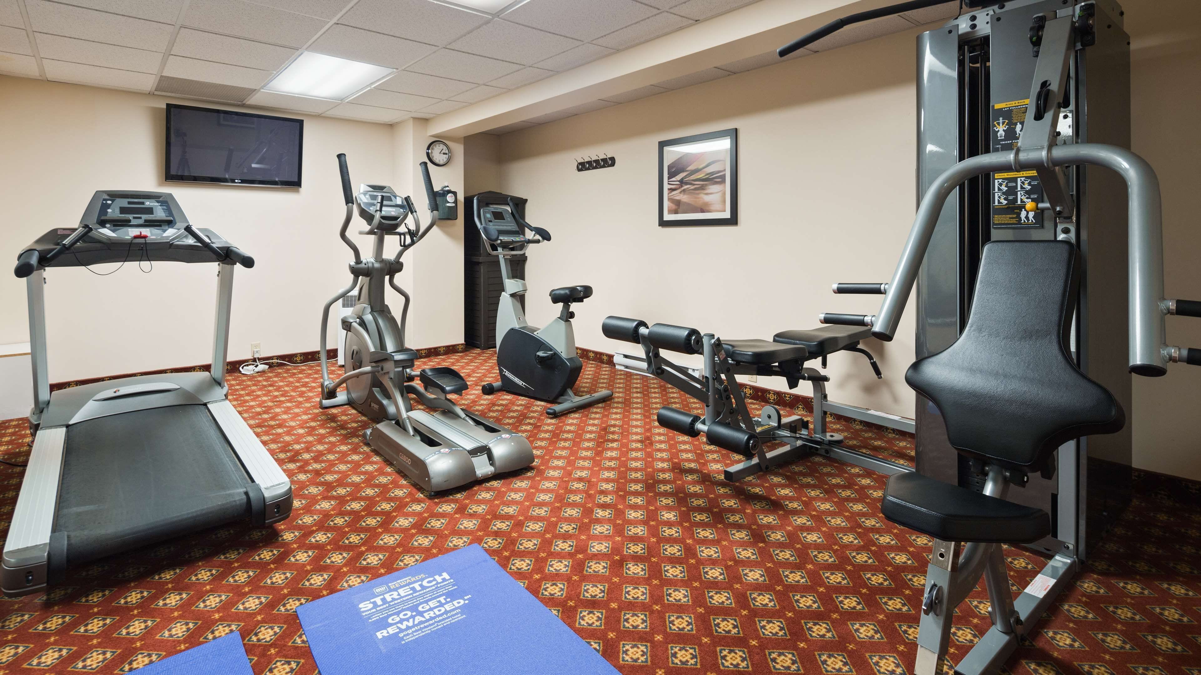 A gym with treadmills, elliptical machines, a weight bench, and a squat rack.