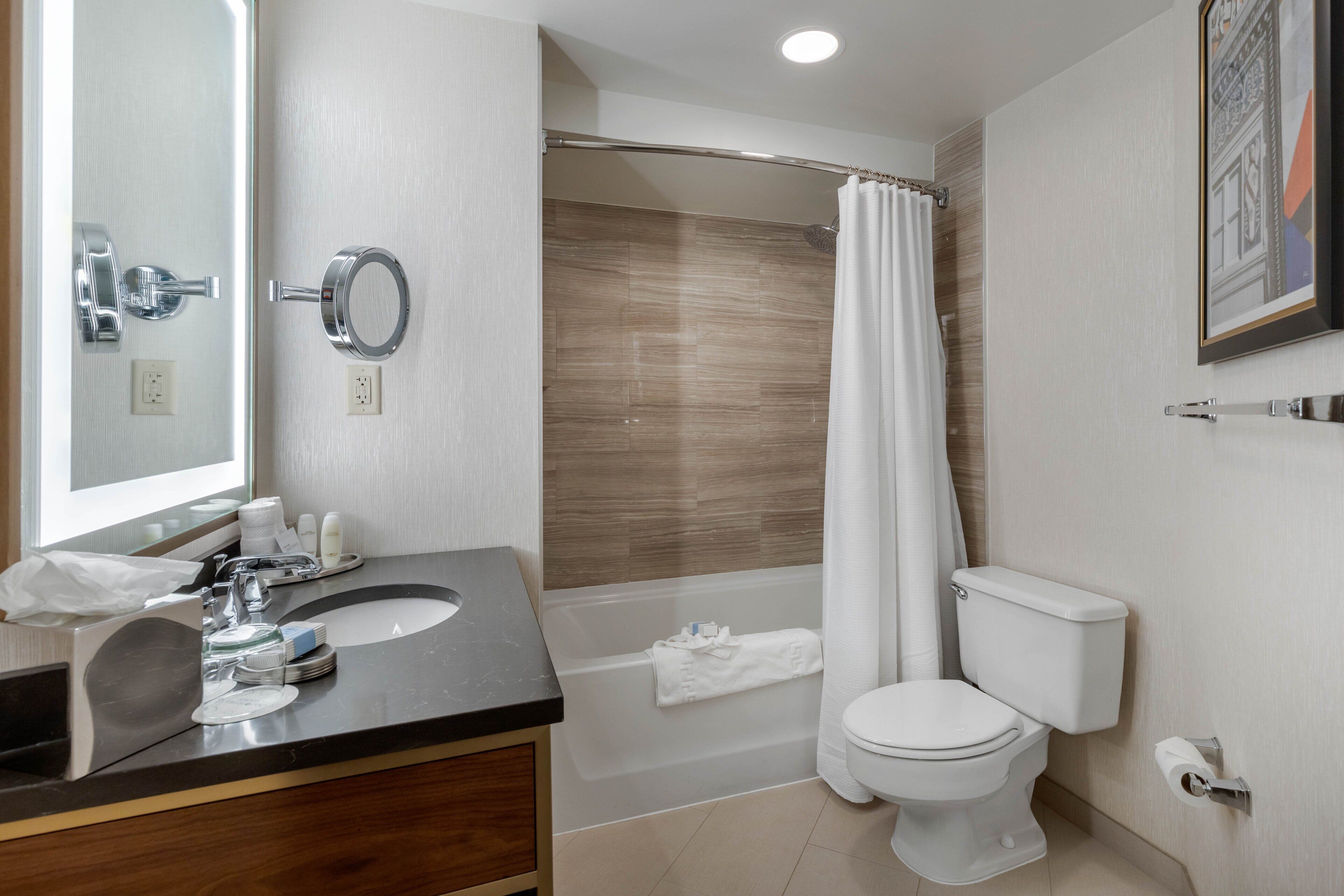 A modern bathroom with a sink, mirror, toilet, and shower.
