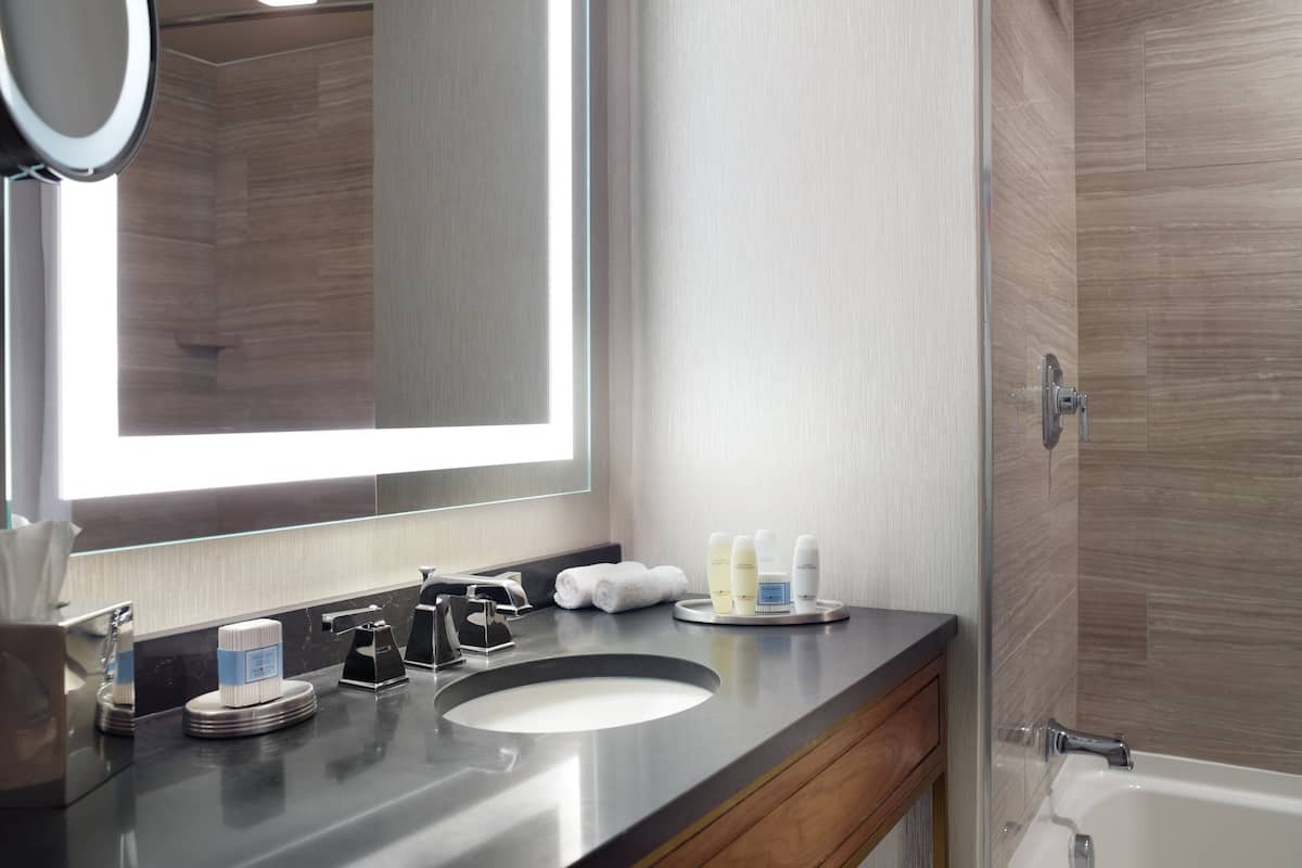 combined shower/bathtub, free toiletries, hair dryer, bathrobes