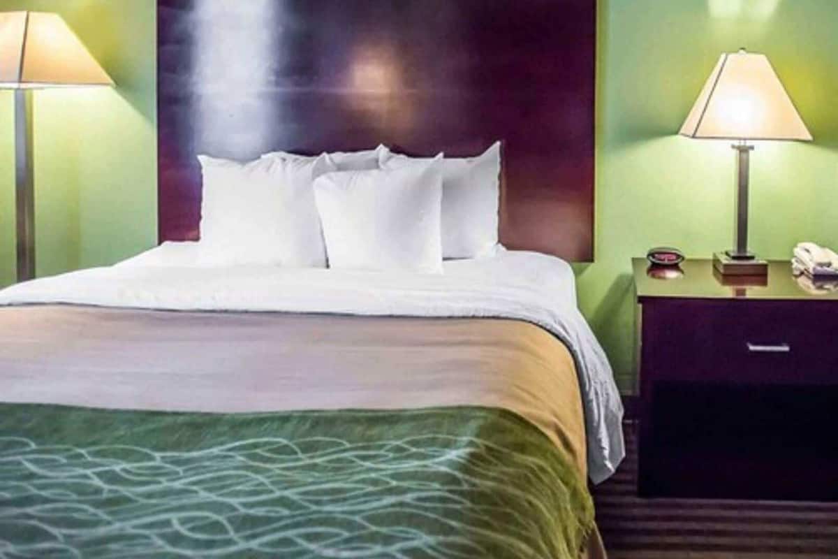 A hotel room with a bed, two bedside lamps, a nightstand, and a green wall.
