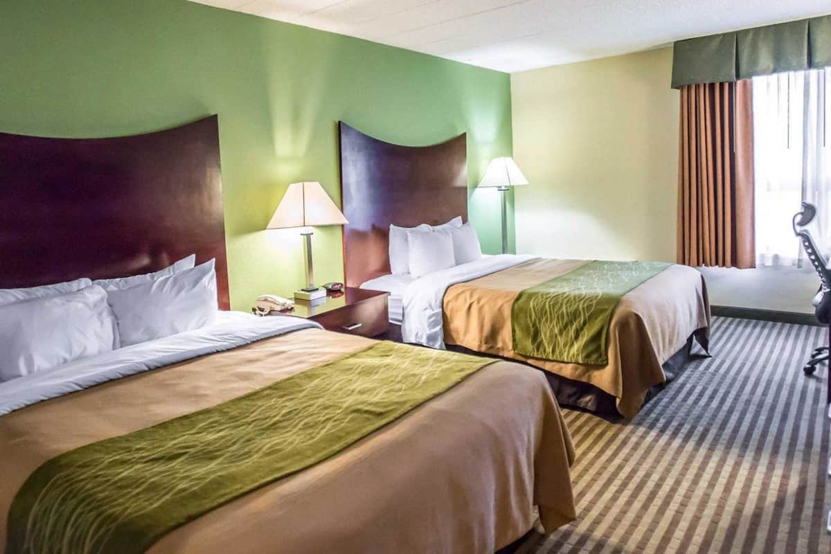 A hotel room with two beds, green walls, and a striped carpet.