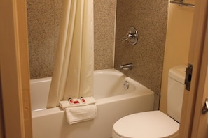 Combined shower/bathtub, free toiletries, hair dryer, towels