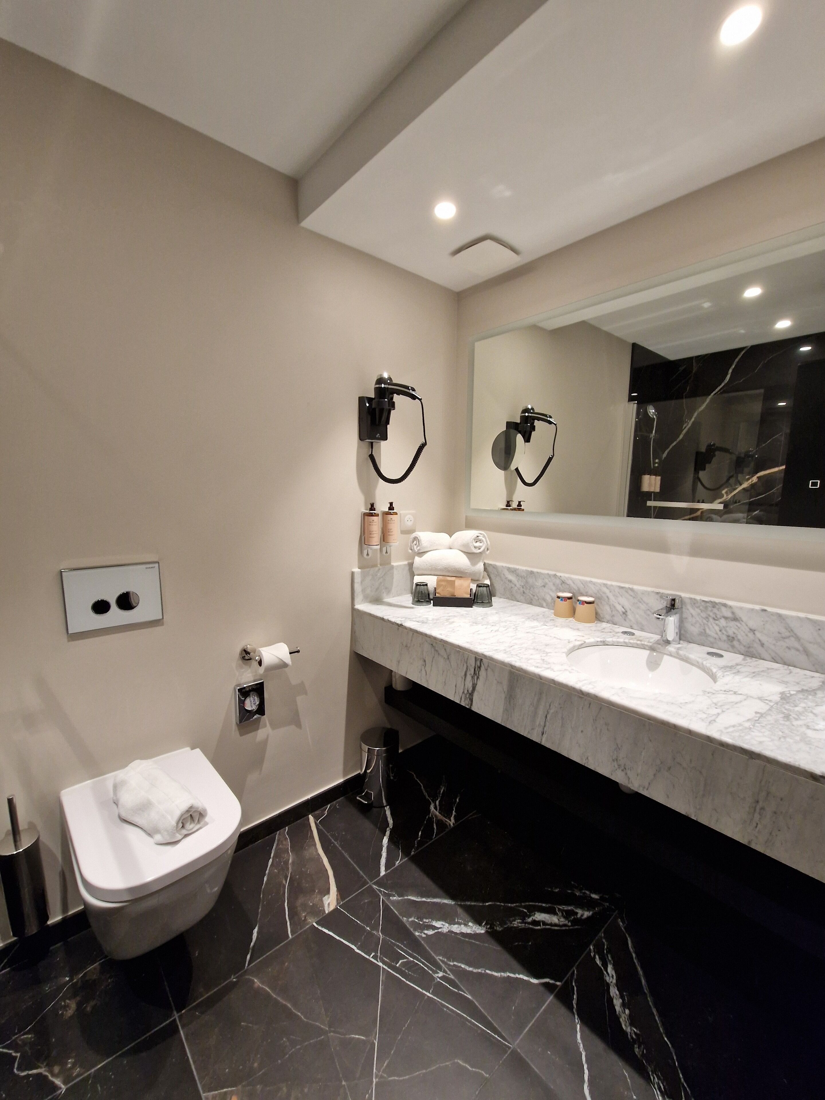 deluxe room, 1 double bed with sofa bed | bathroom | eco-friendly toiletries, hair dryer, towels