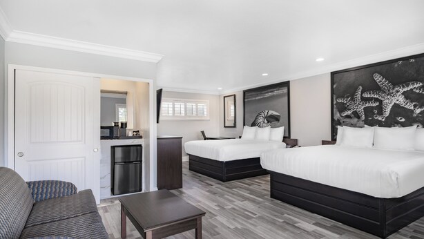 Family Studio Suite, Multiple Beds (sofabed not included)