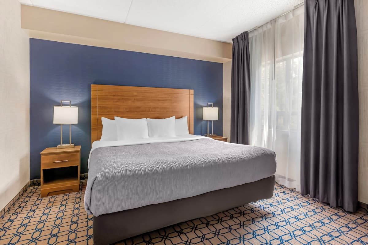 Suite, 1 King Bed, Non Smoking (Efficiency) | Desk, iron/ironing board, free cribs/infant beds, free WiFi