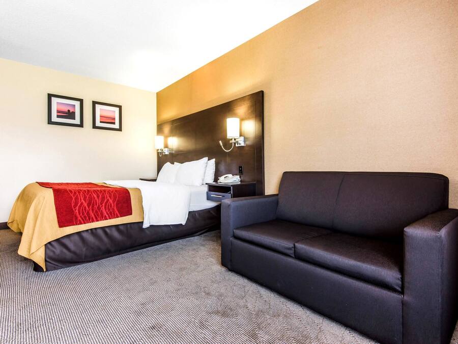 Una habitación de hotel con cama, sofá, mesita de noche y dos lámparas de pared.