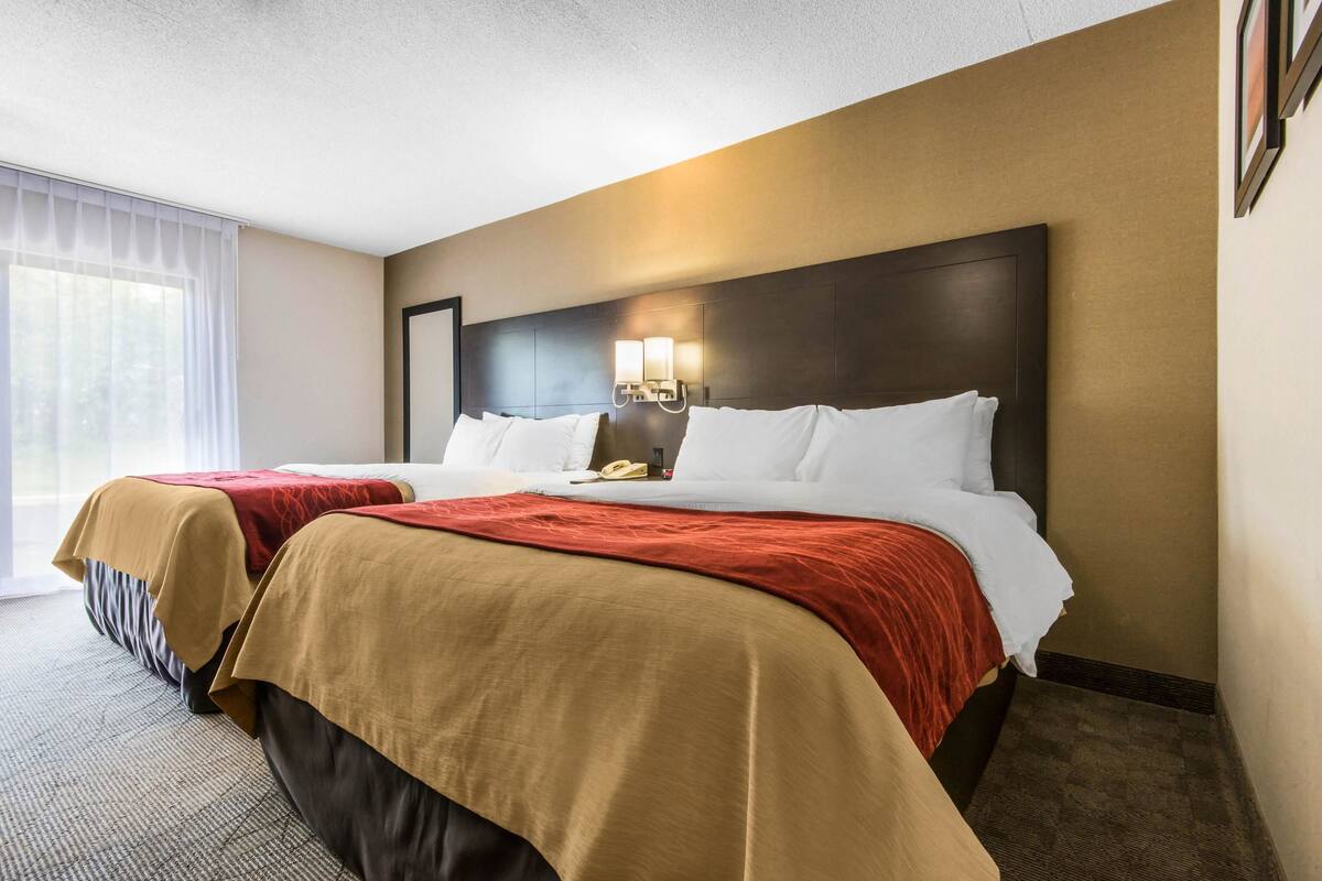 Une chambre d’hôtel avec deux lits, une grande fenêtre avec des rideaux légers, une tête de lit sombre et un luminaire fixé au mur.