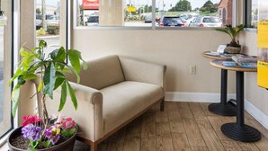 A small, cozy room with a beige sofa, a potted plant with colorful flowers, and a small table with magazines. - Econo Lodge Virginia Beach Town Center (Virginia Beach)
