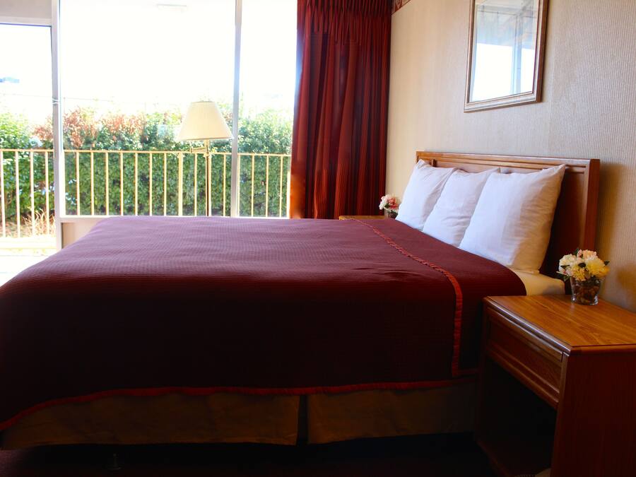 Habitación de hotel con una cama grande, una mesita de noche de madera, una mesita junto a la cama con una lámpara y una ventana con vistas a zonas verdes.
